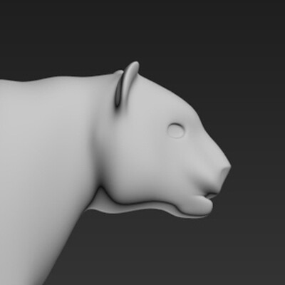 tiger