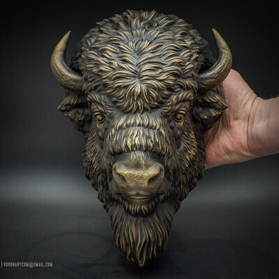 American Bison. Wall-mounted decor