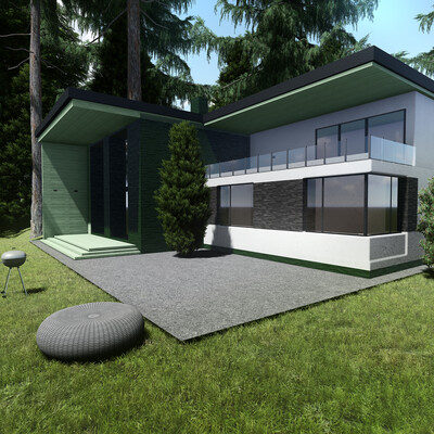 Modern House