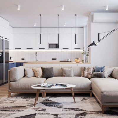 Design project of kitchen combined with living room