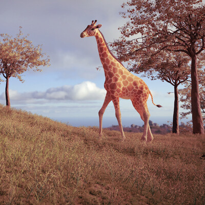 Giraffe