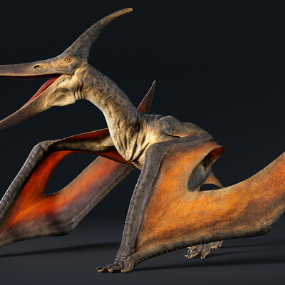 Pteranodon
