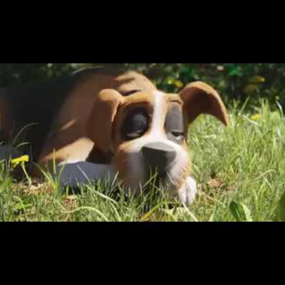 The Rescue