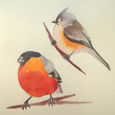 Birdies