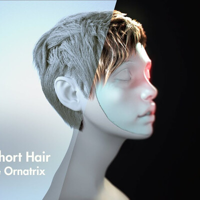 Tutorial 3D hair