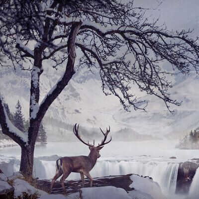 Environment. Winter location.