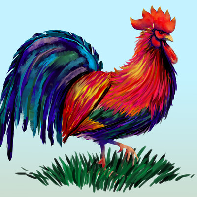 Cock