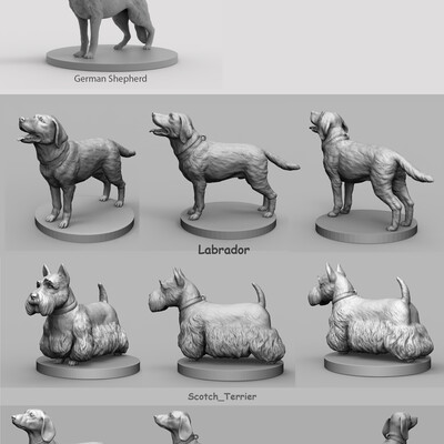 Dogs