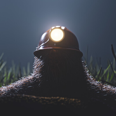 mole