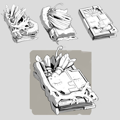 Props. Book concept