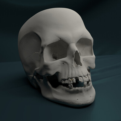skull of a man