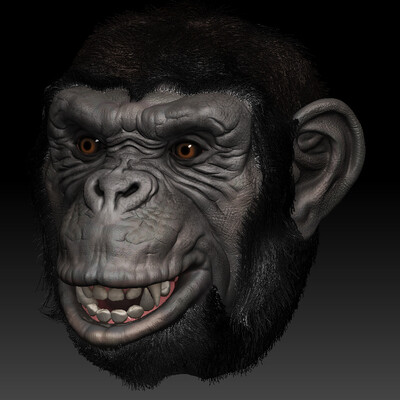 Head monkey