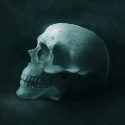 Scull