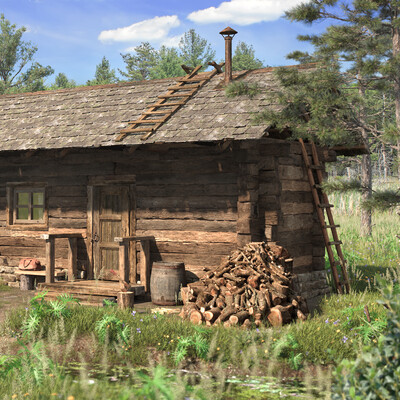 Forest house