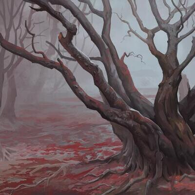 forest