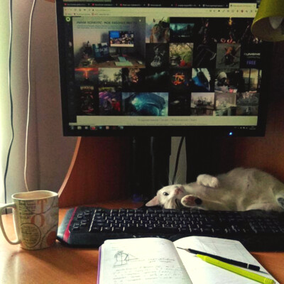 My "fluffy" place of work