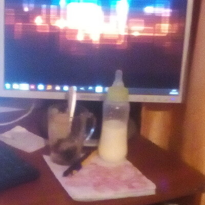 Desktop