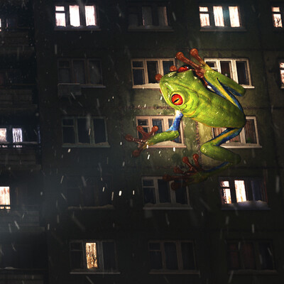 Frog in the wild