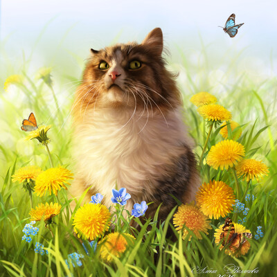 Dandelions