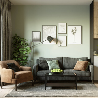 Kitchen-living room interior