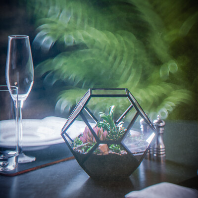 Florarium