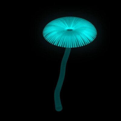 Procedural mushrooms