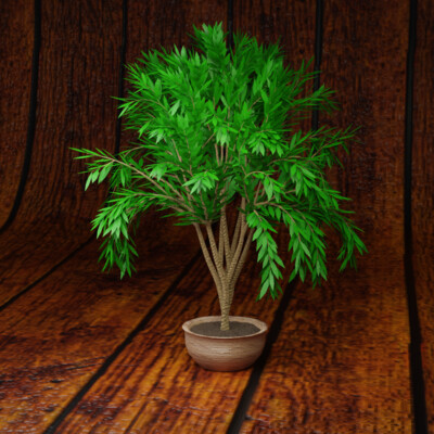 Decorative tree in a pot