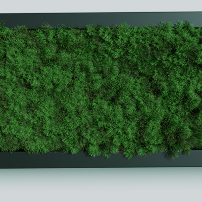 Decorative grass in a pot