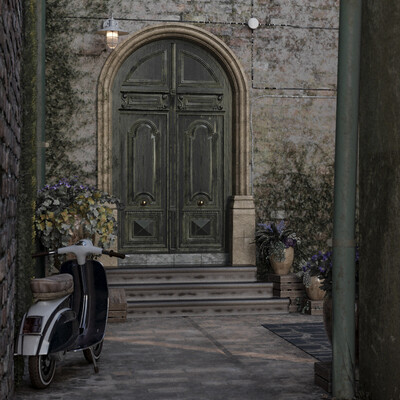The yard