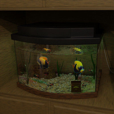 The aqurium in the room