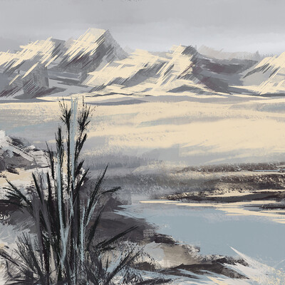 Snow Field