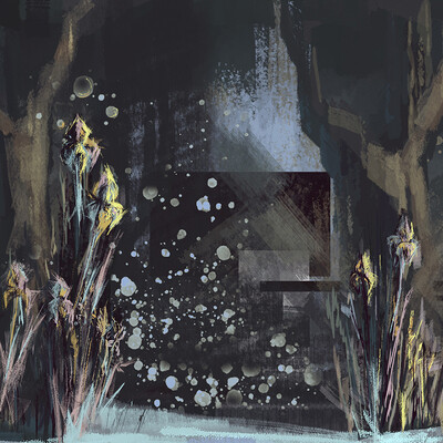 Forest of obscurity