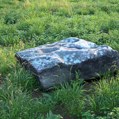 Rock Photogrammetry Scan and new plant community