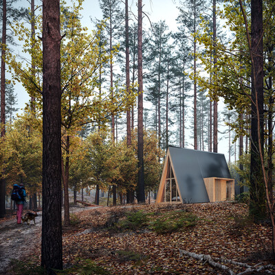 A-Frame Cabin