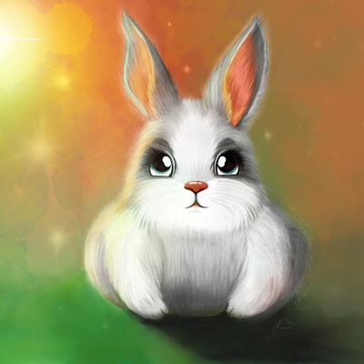 The Enlightened Rabbit