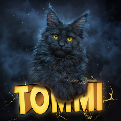 Tommi