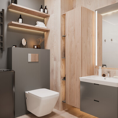 bathroom in a modern style