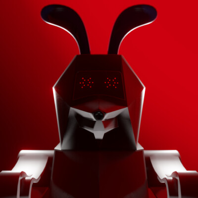 rabbit