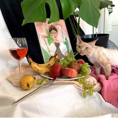 still life