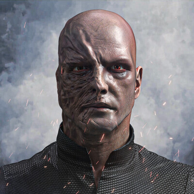 Mustafar casualties