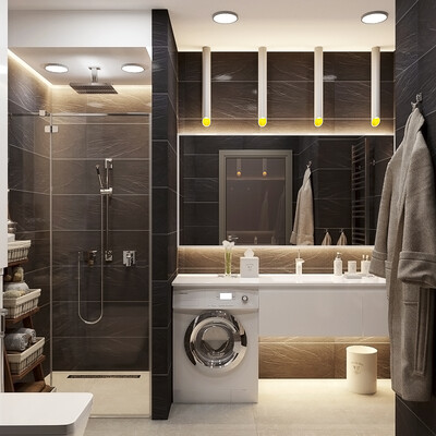 Apartment design for a young family. Bathroom, hall