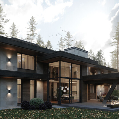 House in Lokino