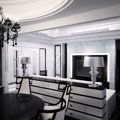Living room design in Black and White style