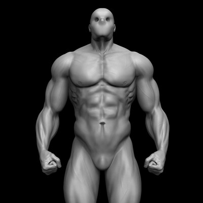 Male anatomy by Buzzzman