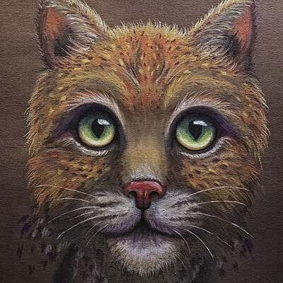 Lynx