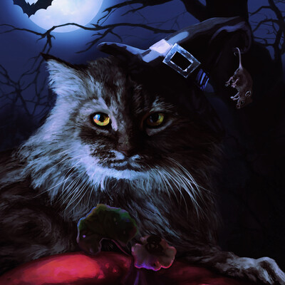 Witch Cat
