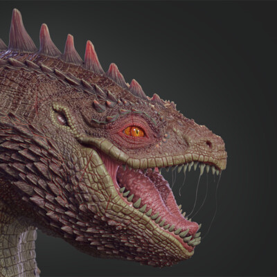 Dragon head