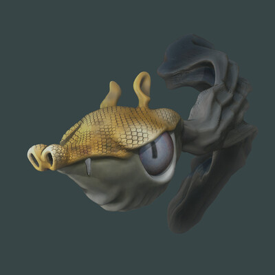Gryzulka fish