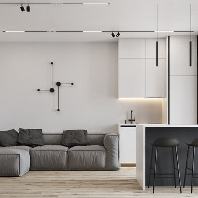 Apartment in minimalist style