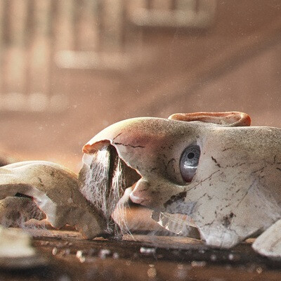 Broken Doll